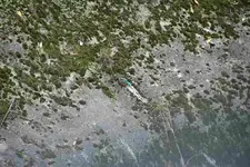 verkleinert-Eisvogel 0414.webp