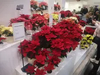 IMG_20250128_160914.webp