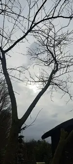 20250206_123752.jpg