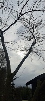 20250206_123752.jpg