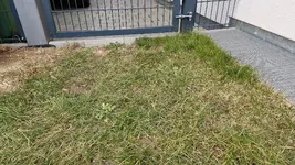 20250207_163545.webp