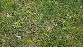 20250207_163628.webp
