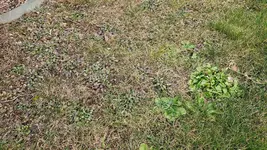 20250207_163640.webp