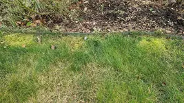 20250207_163645.webp