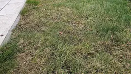 20250207_163654.webp