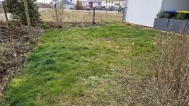20250207_163712.webp