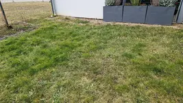 20250207_163723.webp