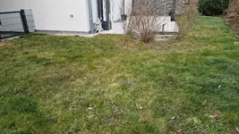 20250207_163733.webp