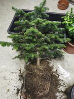 IMG_20250206_095553.jpg