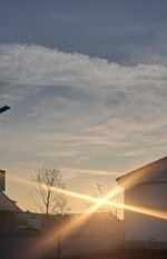 20250208_083413.jpg