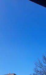 20250208_115852.jpg