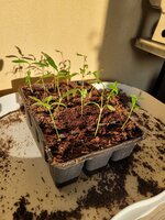 20250209_095055.jpg