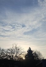 20250209_091538.jpg