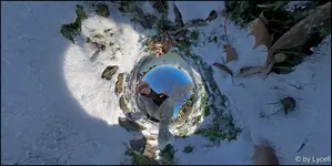 c010.webp