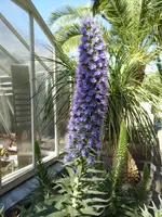 P1010650Botanischer Garten Münster.webp