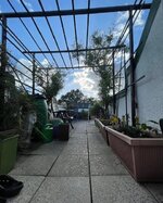 IMG_20250210_180105.jpg