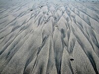 IMG_0469vbt (2).JPG