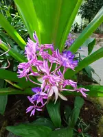 IMG_20240324_143750.webp