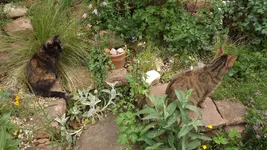 DSCF2812.webp