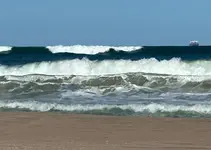 Jo5789p.webp