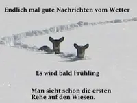 FB_IMG_1739462603698.webp