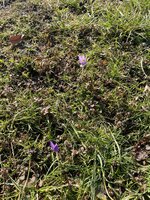 IMG_9319.jpeg