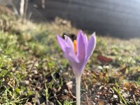 IMG_9320.jpeg