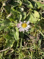 IMG_9328.jpeg