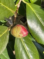 IMG_9331.jpeg