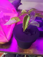 20250216_160941.webp
