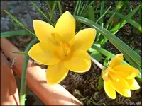 c024.webp