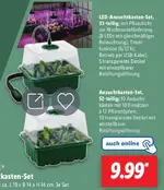 lidl.webp