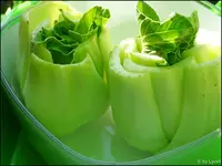 c029.webp