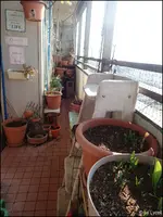 c030.webp