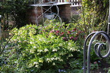 Frühling       0624.JPG
