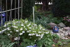 Frühling       0724.JPG