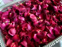Rosenblütenblätter.webp