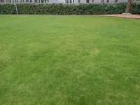 DSCN6047.webp