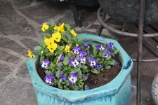 April    0424.webp