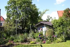 Mai     1124.webp