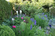 Mai     1524.webp