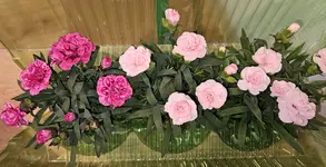 20250221_130357.webp 20250221_130357.webp