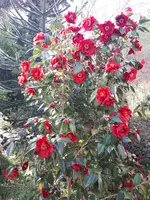 20240406_175000.webp