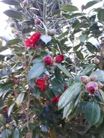 20240317_171747.webp
