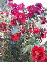 20240406_175100.webp