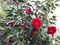 20240326_090724.webp