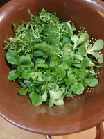 Rotate_20250221_103337_7202.webp