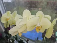 20250222_112725.webp