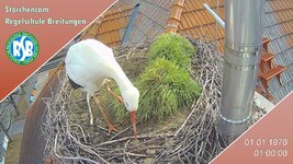 IMG_1900.jpeg