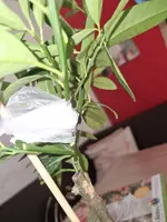 20250221_134812.webp